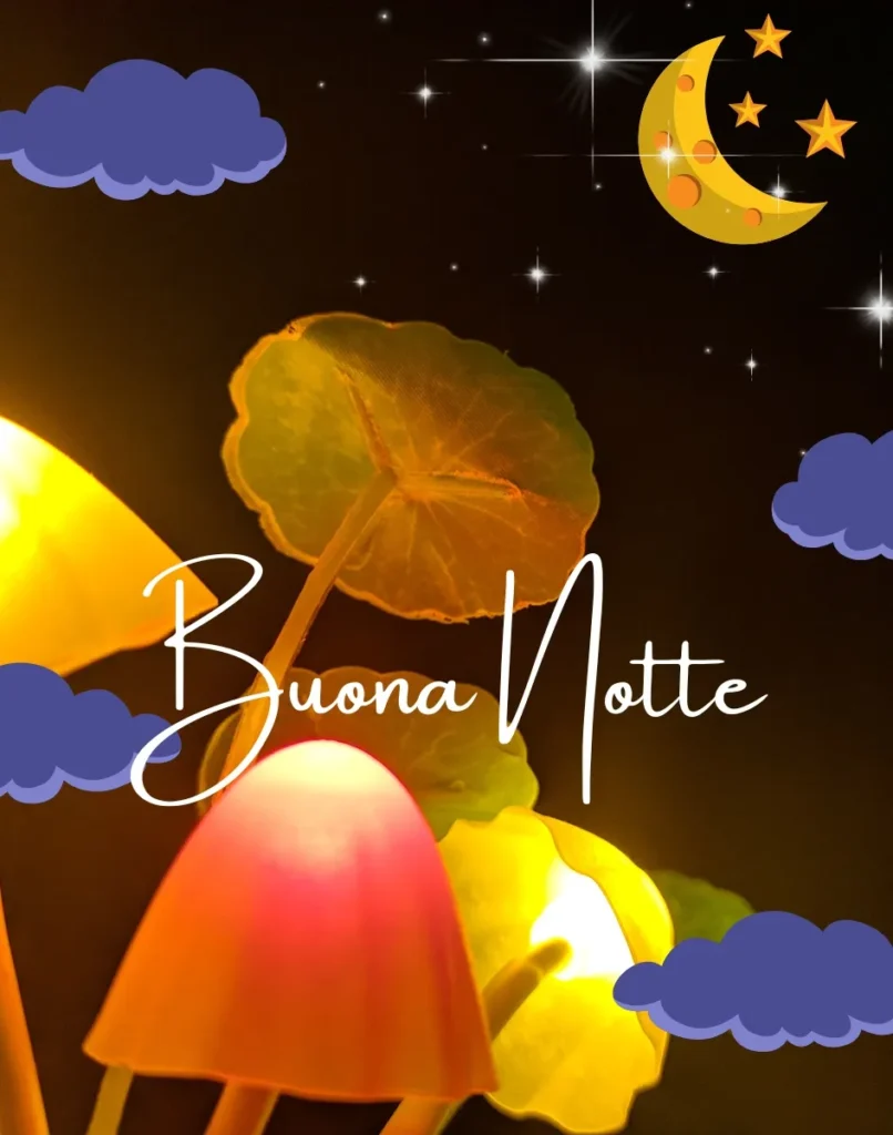 Buona Notte 35