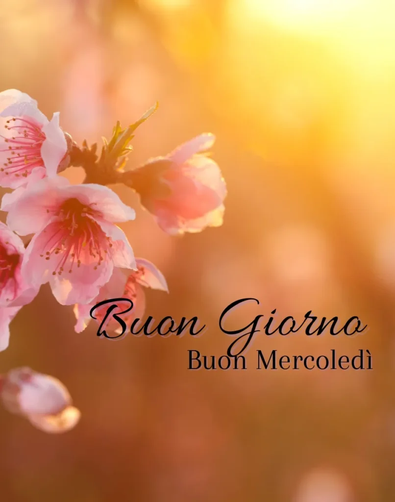 Immagini Buongiorno Buon Mercoledì 15 Gennaio 2025