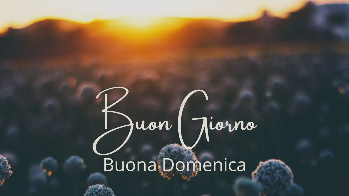 Buongiorno Buona Domenica 12 Gennaio 2025